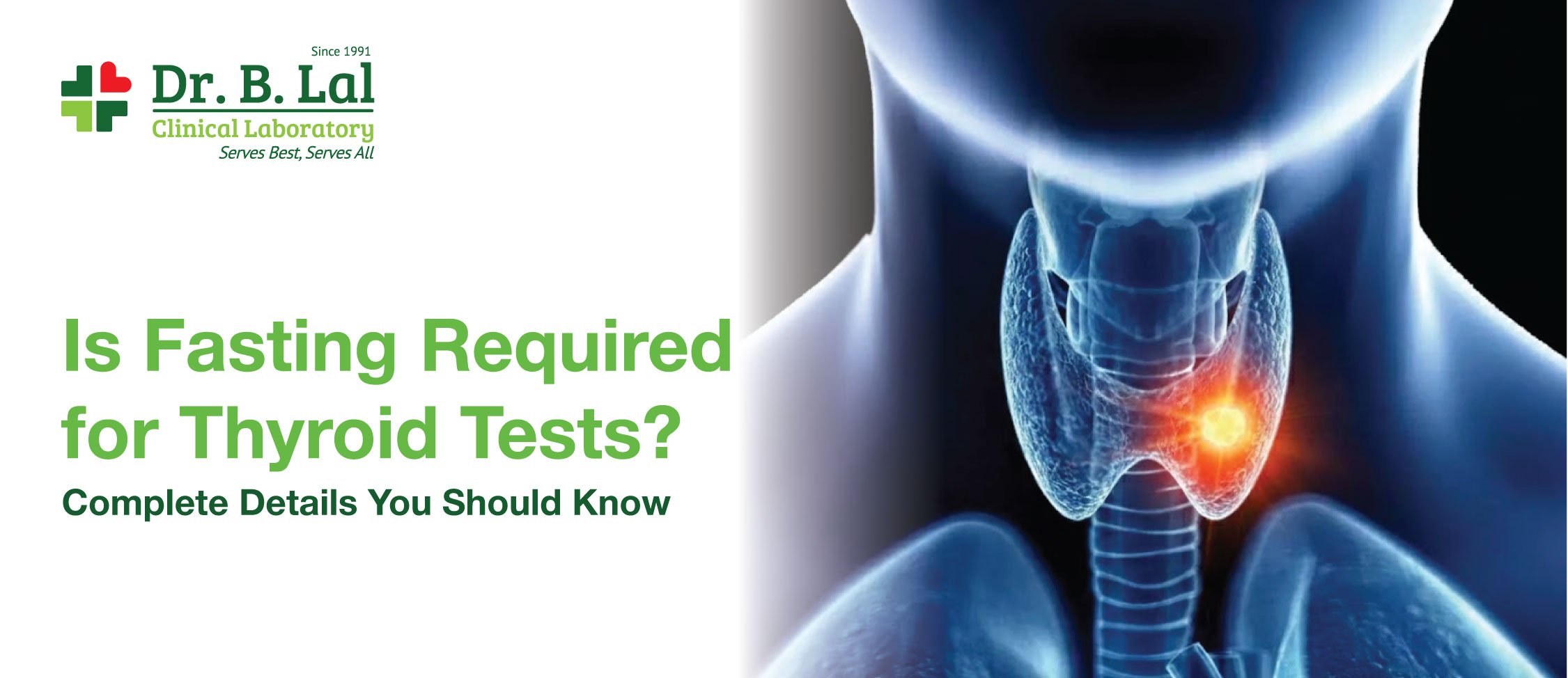Is Fasting Required for Thyroid Tests? Complete Details You Should Know