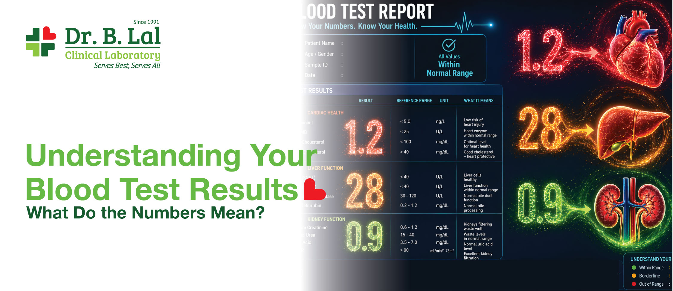 Understanding Your Blood Test Results: What Do the Numbers Mean?