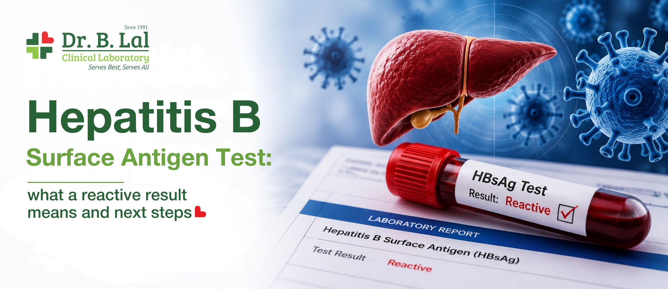 Hepatitis B surface antigen test: what a reactive result means and next steps