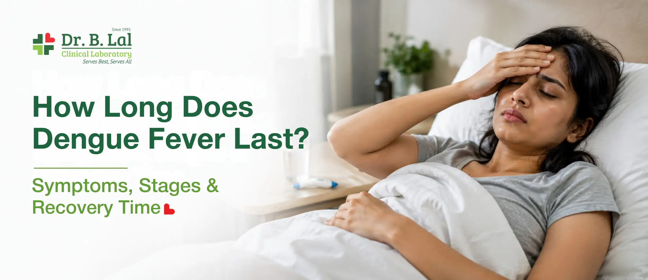 How Long Does Dengue Fever Last? Symptoms, Stages & Recovery Time