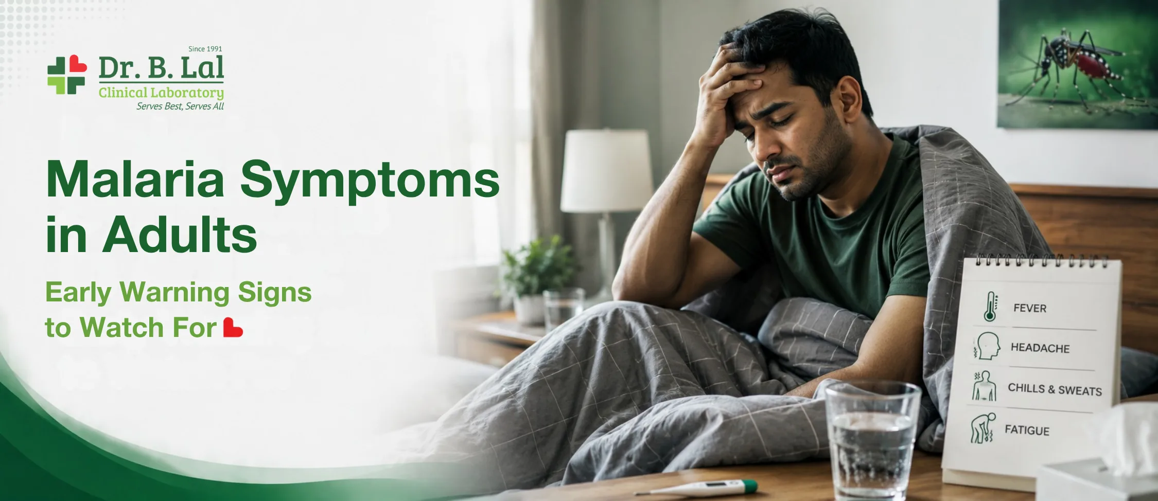 Malaria Symptoms in Adults: Early Warning Signs to Watch For
