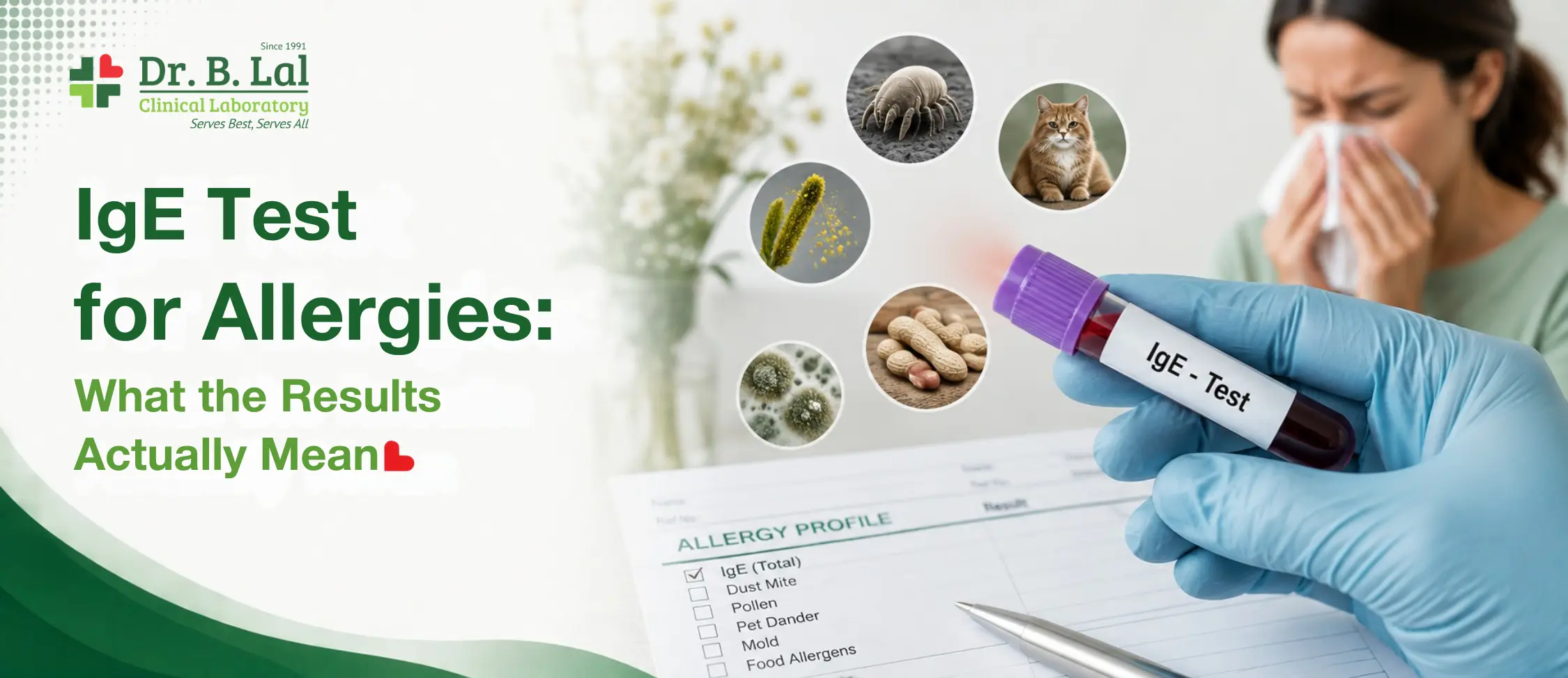 IgE Test for Allergies: What the Results Actually Mean