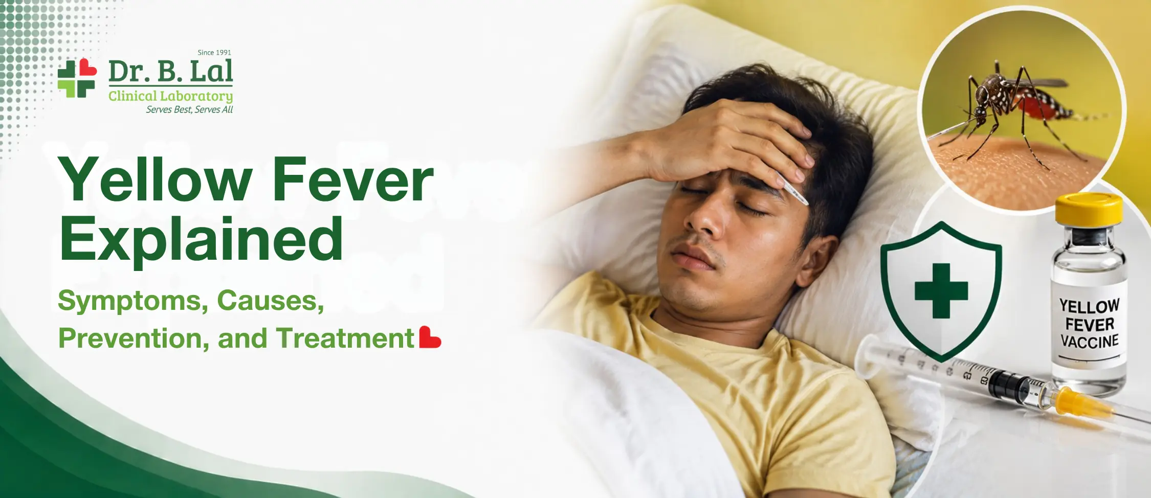 Yellow Fever Explained: Symptoms, Causes, Prevention, and Treatment