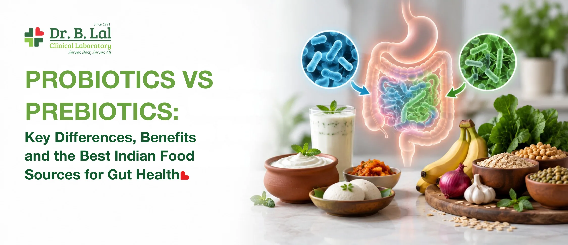 Probiotics vs Prebiotics: Key Differences, Benefits and the Best Indian Food Sources for Gut Health
