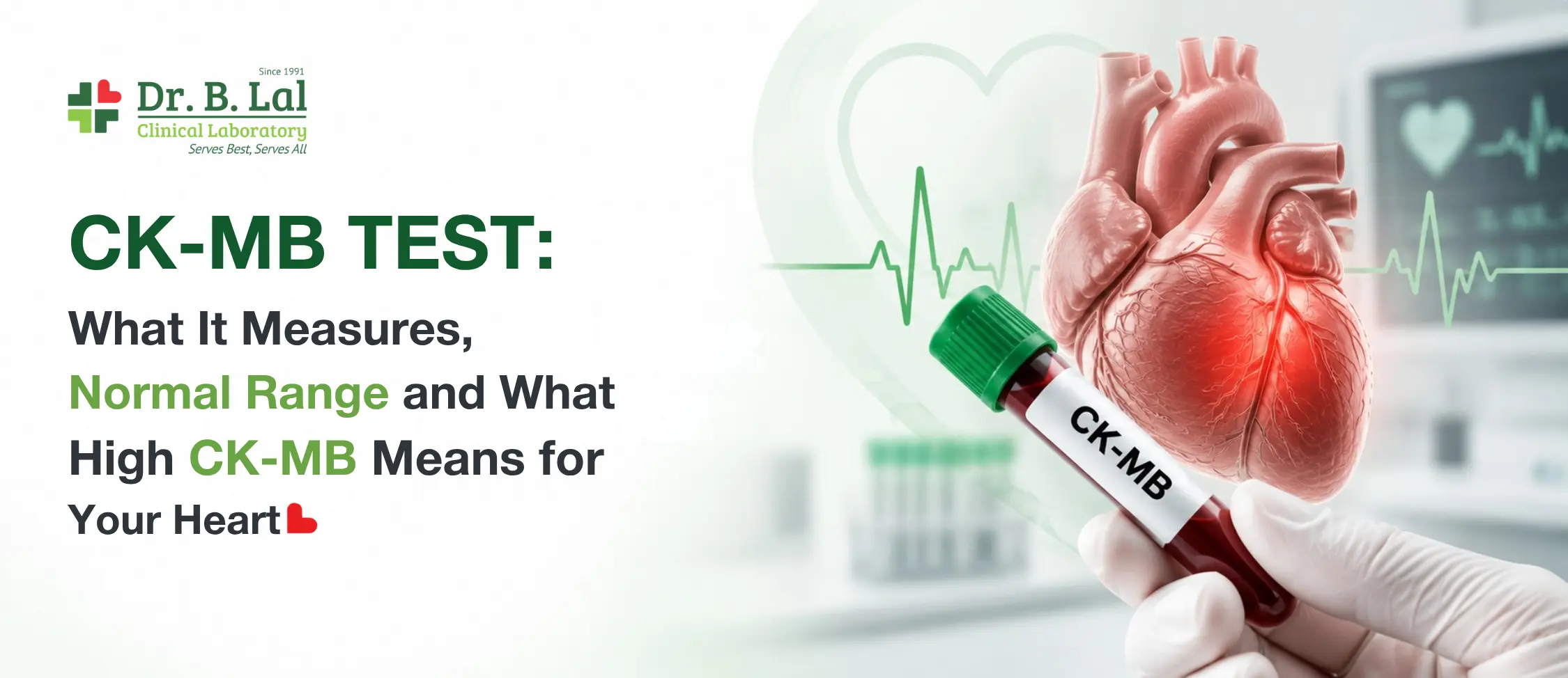 CK-MB Test: What It Measures, Normal Range and What High CK-MB Means for Your Heart