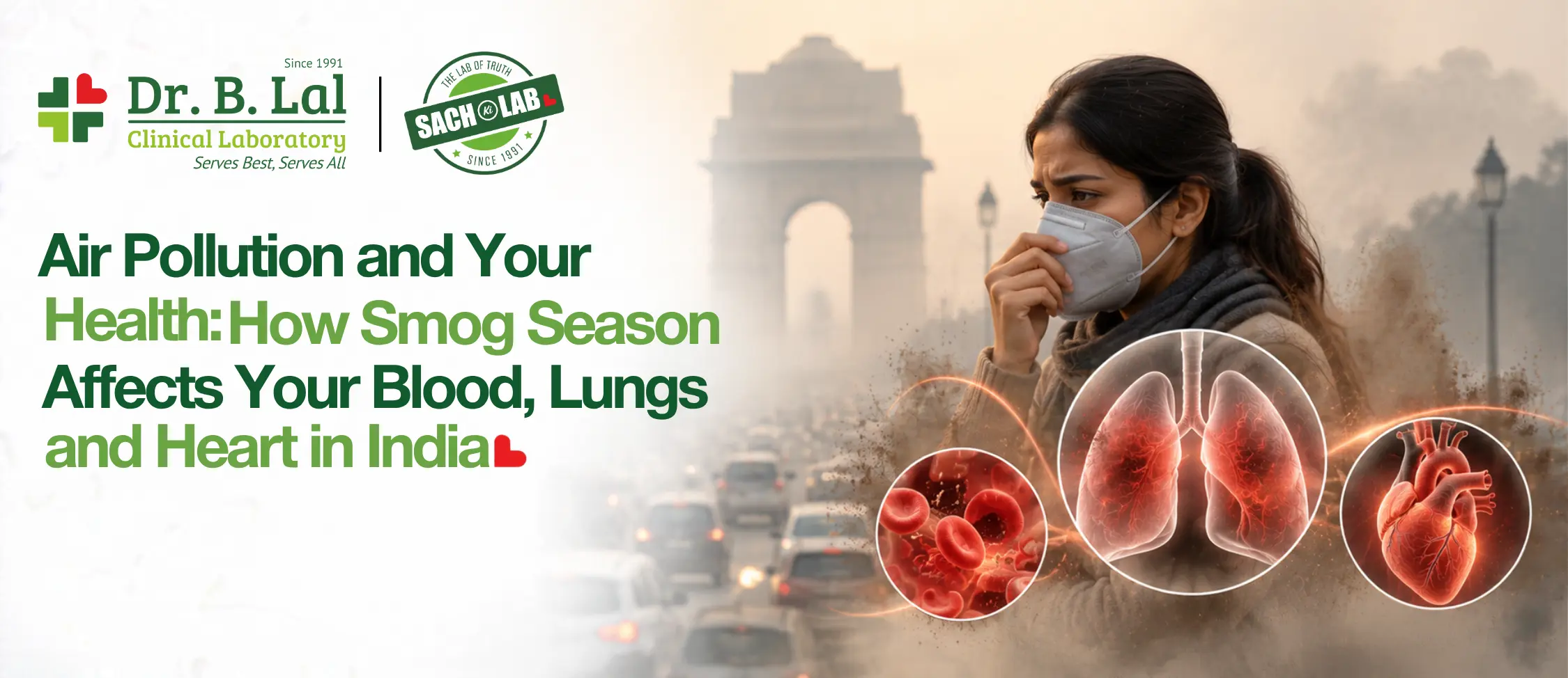 Air Pollution and Your Health: How Smog Season Affects Your Blood, Lungs and Heart in India