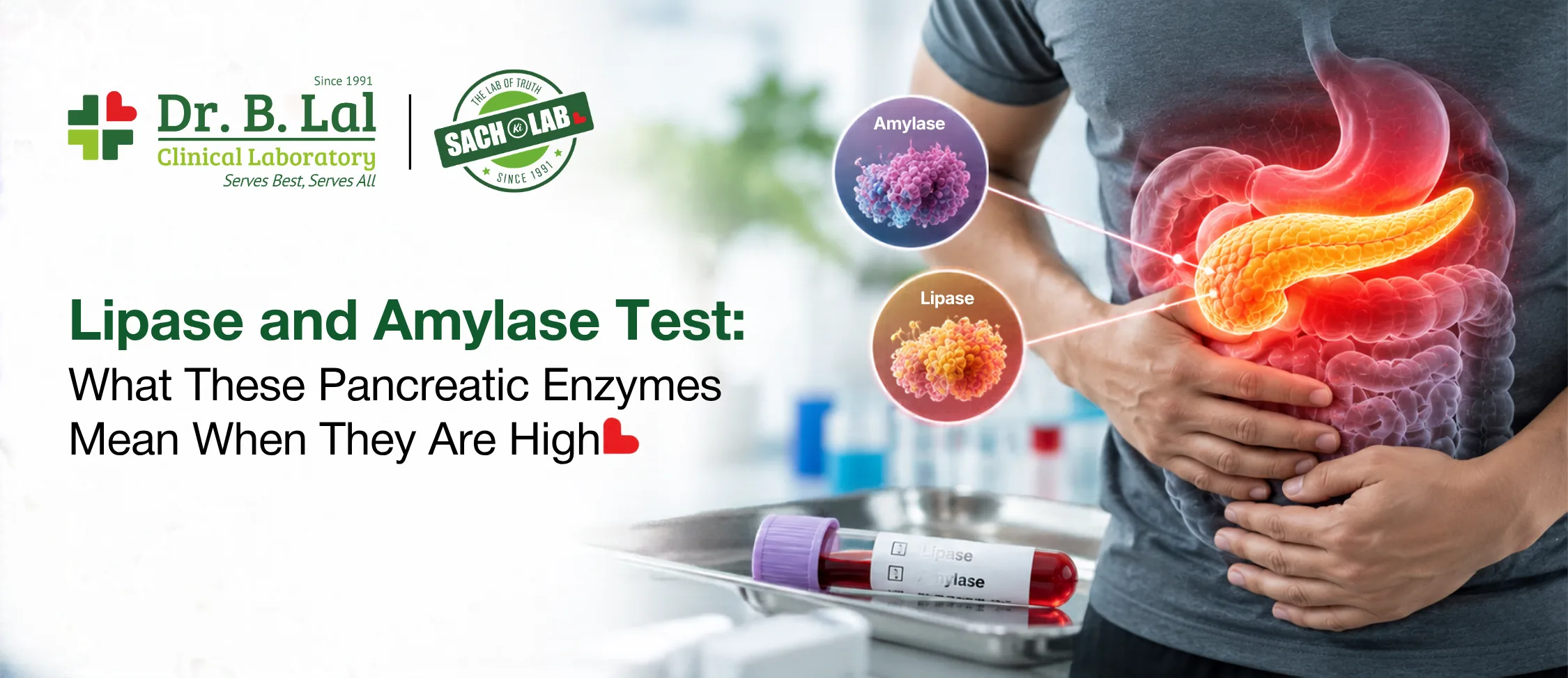 Lipase and Amylase Test: What These Pancreatic Enzymes Mean When They Are High